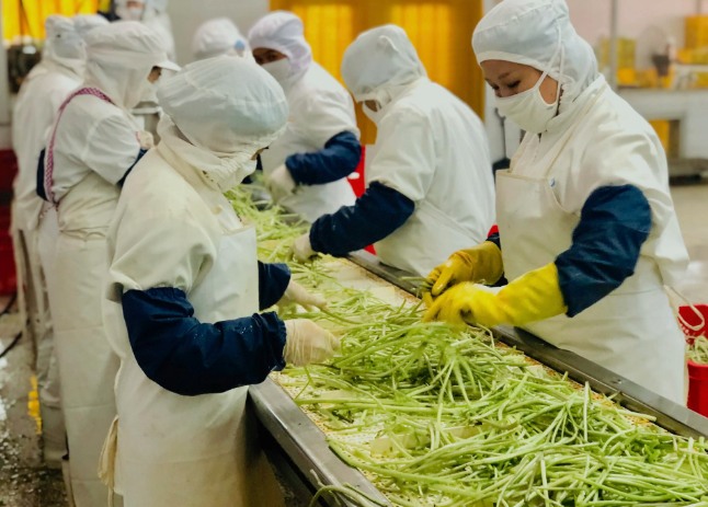 三種食品污水處理設備工藝流程，看看哪種適合您？